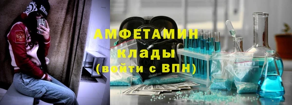 стаф Алзамай
