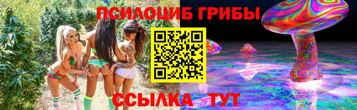 Галлюциногенные грибы Psilocybine cubensis  магазин продажи наркотиков  Вход с VPN  Киржач  Псилоцибиновые грибы Psilocybe 