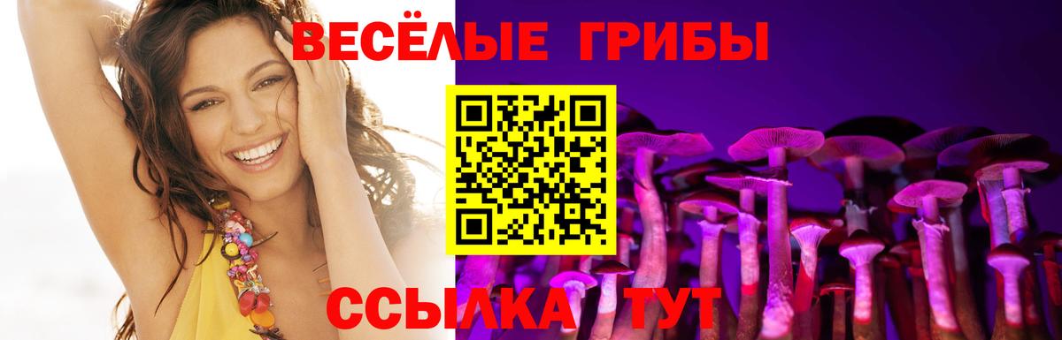 Галлюциногенные грибы мухоморы Киржач